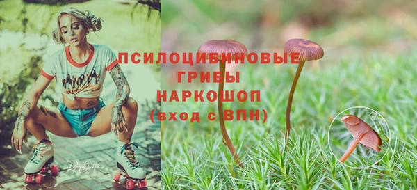 амфетамин Новодвинск