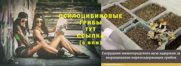 МДМА Няндома