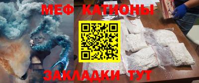 индика Кингисепп