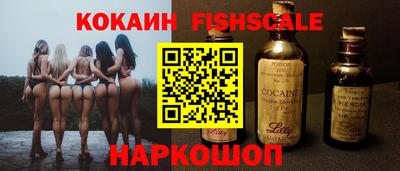 индика Кингисепп