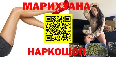 индика Кингисепп
