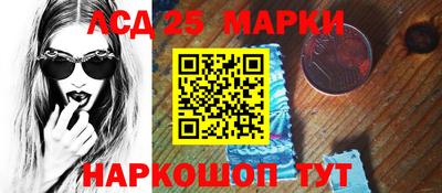 индика Кингисепп