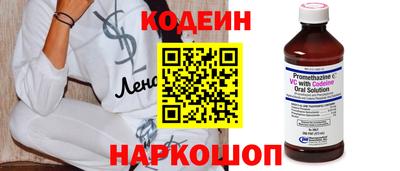 индика Кингисепп
