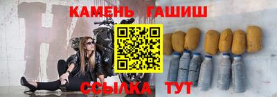 индика Кингисепп