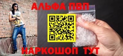 индика Кингисепп